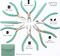 The Beadsmith Fashion Color Pliers – Slimline Color-Coordinated Tools – Matching Clutch in Beige – Jewelry Making Supply Kit to Create Necklaces, Bracelets, Earrings & More